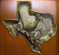Texas Roadrunner-large